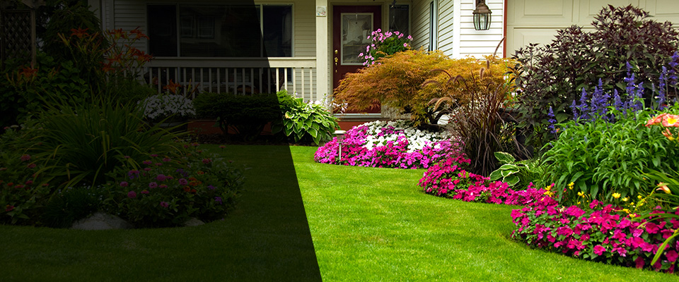 Latonia Landscapers