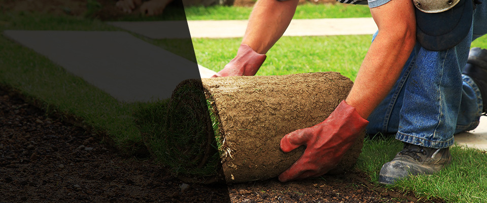 Latonia Landscapers
